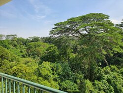 Highgate (D21), Condominium #358979671